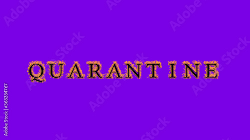 quarantine fire text effect violet background. animated text effect with high visual impact. letter and text effect. Alpha Matte. 
