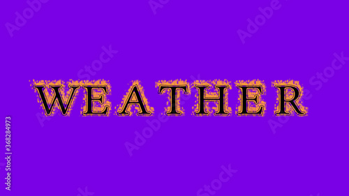 weather fire text effect violet background. animated text effect with high visual impact. letter and text effect. Alpha Matte. 