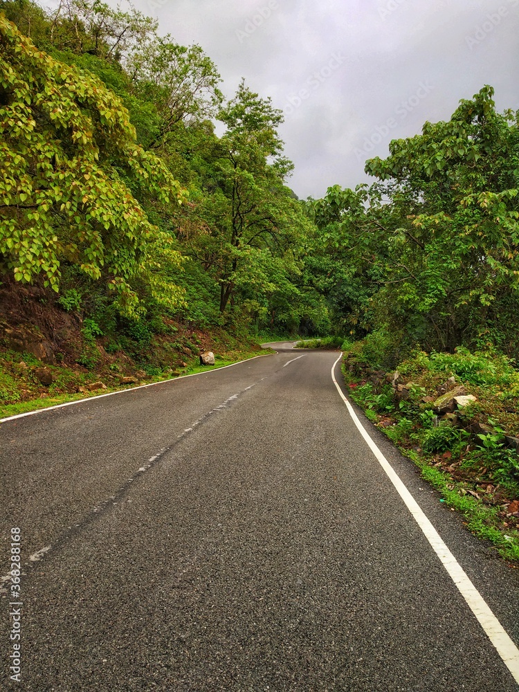 A Mountain road surrounded by trees.