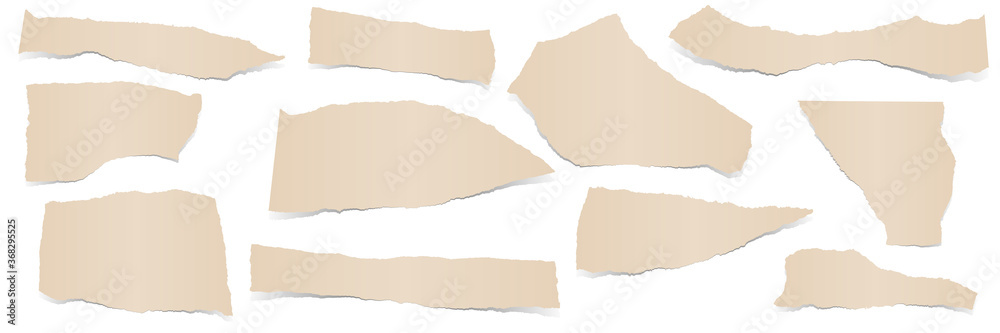 collection scrap of paper collection scrap of paper