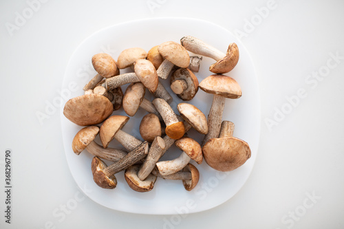 Fresh raw boletus mushrooms in white plate on white background.