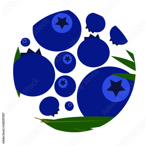 blueberry icon