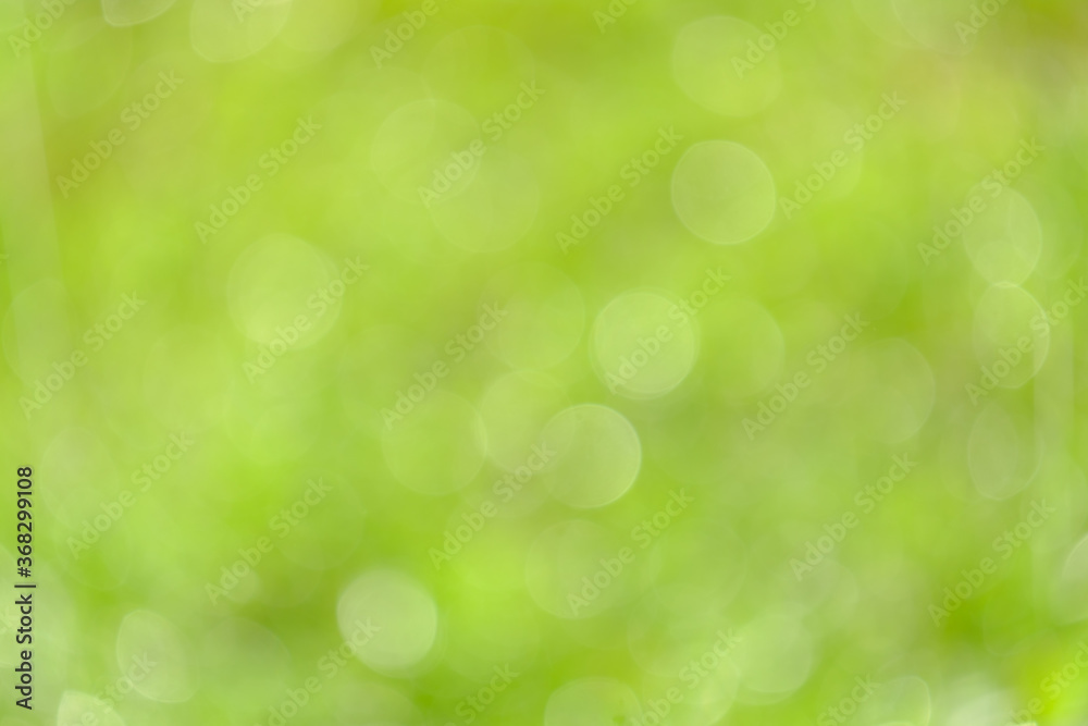 Light of out focus,Blurred background.Bokeh from natural green leaves.