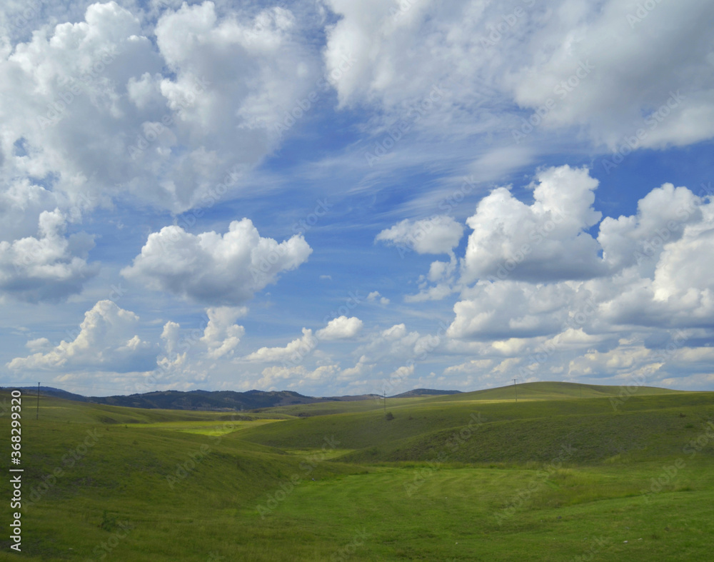 Field of green grass and blue sky cloud