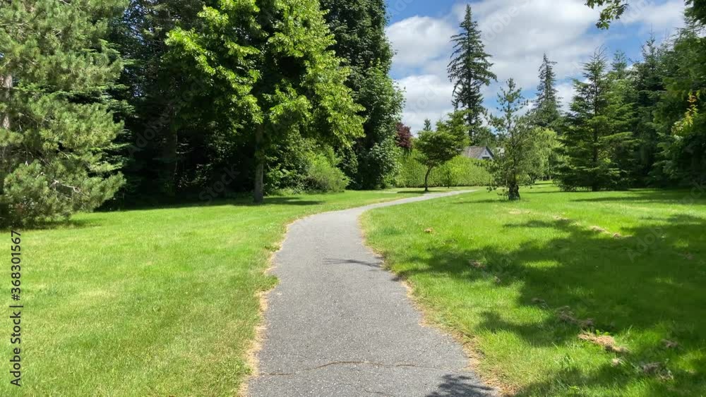 View at Trail in Park in Vancouver, Canada. View at Trail in Park in Vancouver, Canada.