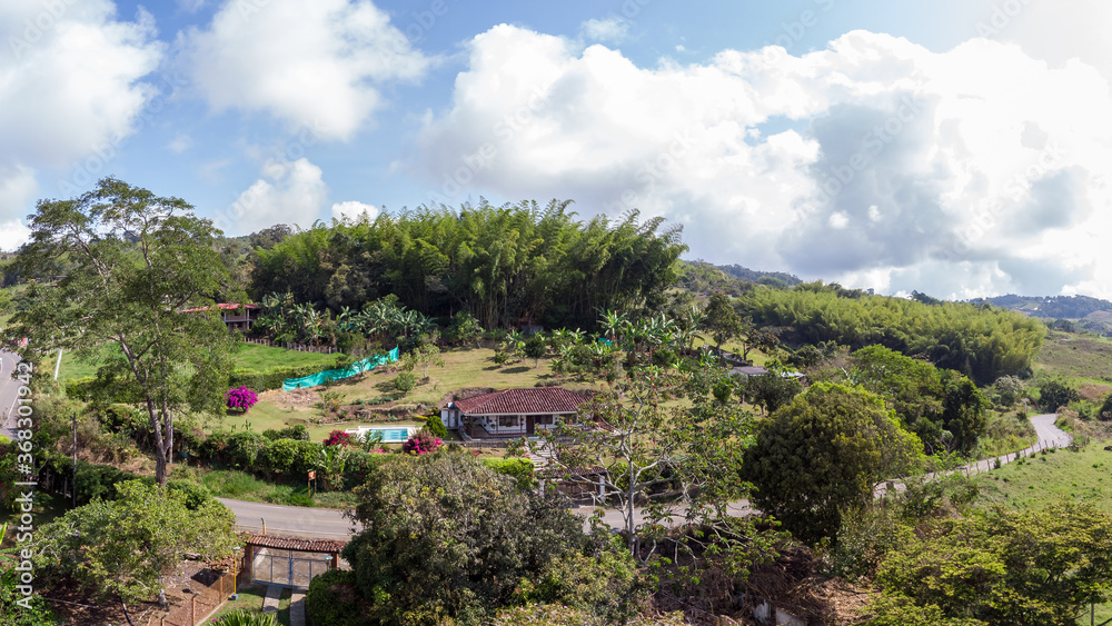 aerial panorama photo of small hill with bamboo forest aerial panorama photo of small hill with bamboo forest