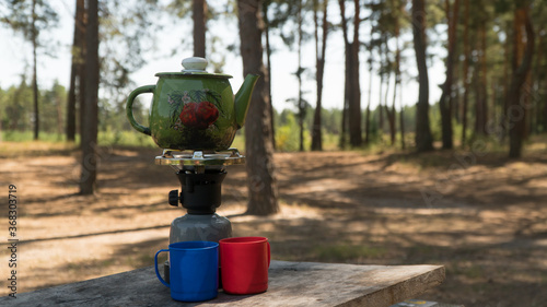  the kettle is on a gas burner. tea party in the forest
