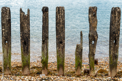 old wooden fence on the beach