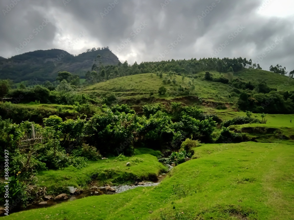 Beautiful landscape of the Munnar city in Kerala, India with valley and mountains view. Grasslands of beautiful hill station of India, Munnar with selective focus for leisure and tourism purposes.