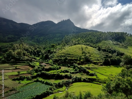 Beautiful landscape of tea plantation in the Indian state of Kerala with selective focus. landscape of the city, Munnar with its tea planatation, valley and Nilgiri mountain ranges. photo