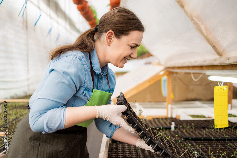 Young woman working in greenhouse Young woman working in greenhouse