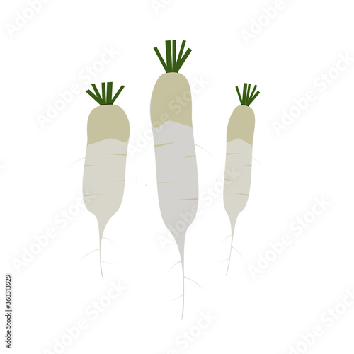 This is a fresh radish on white background.