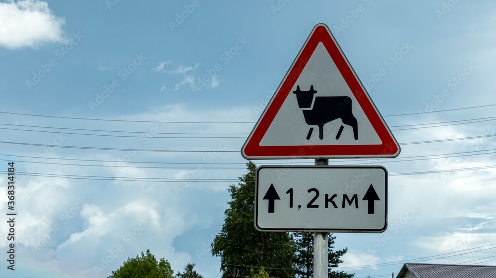 road warning sign ahead of a possible appearance of animals on the road road warning sign ahead of a possible appearance of animals on the road