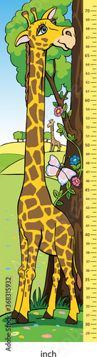 funny giraffe can measure your growth, measure the height of your baby, image of a giraffe to measure the growth of a child