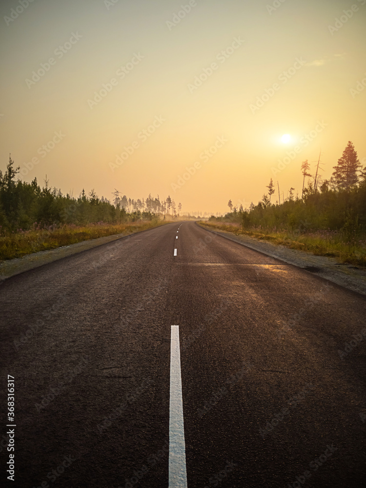 Empty asphalt road, track in the forest at dawn. Summer landscape.