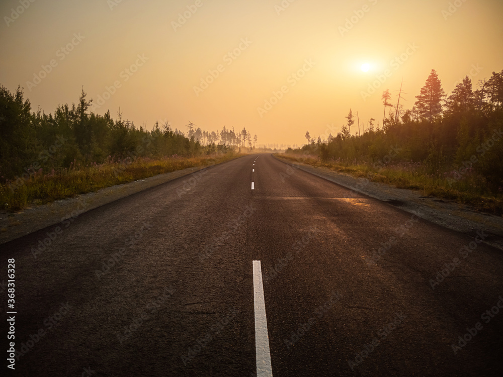 Empty asphalt road, track in the forest at dawn. Summer landscape.
