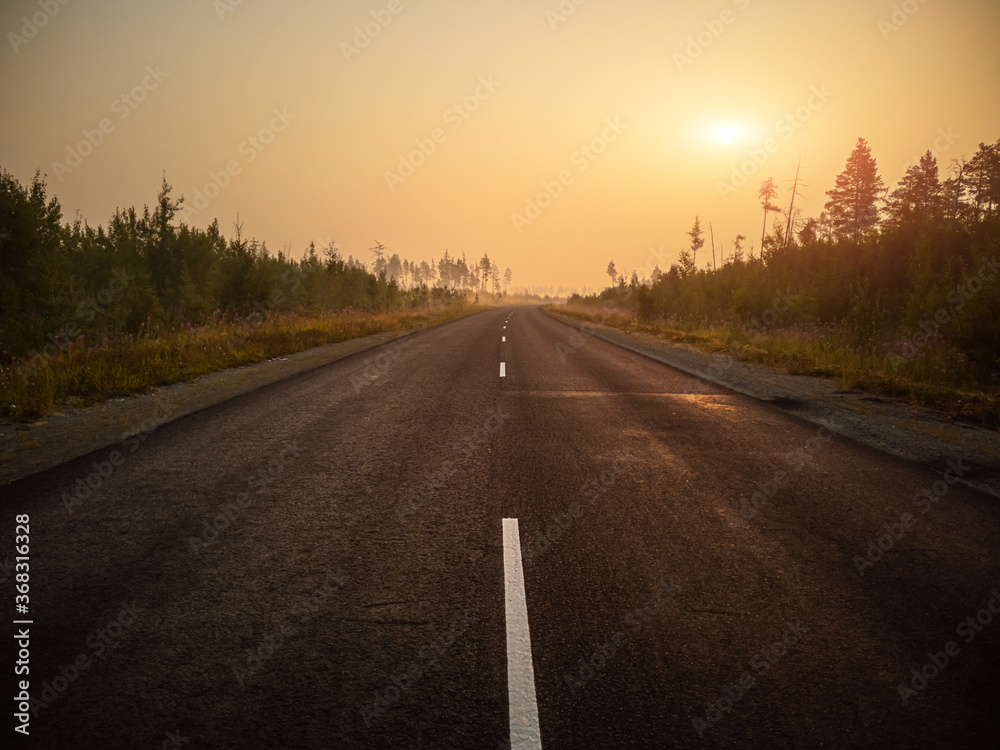 Empty asphalt road, track in the forest at dawn. Summer landscape. Empty asphalt road, track in the forest at dawn. Summer landscape.