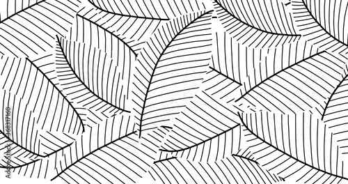 leaf line art background vector, wallpaper and print, house plant, Vector illustration.