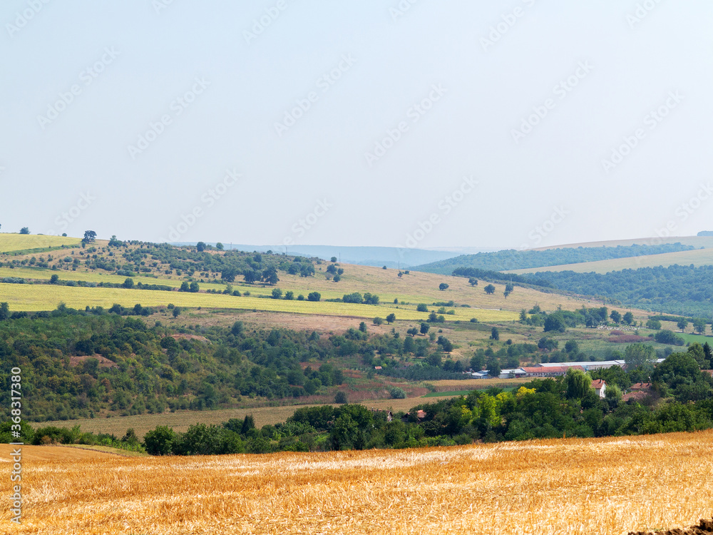 Fototapeta premium mown field on a bright autumn day. Collect grain harvest. Farming, idyll landscape background