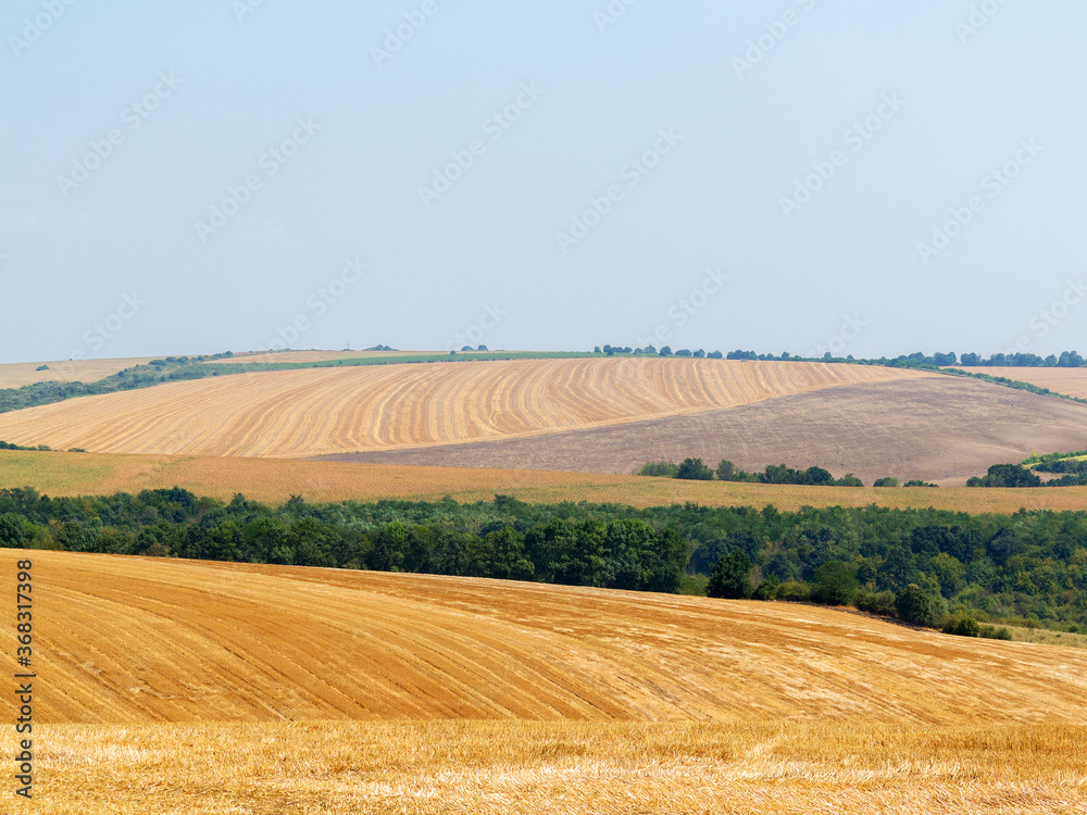 mown field on a bright autumn day. Collect grain harvest. Farming, idyll landscape background
