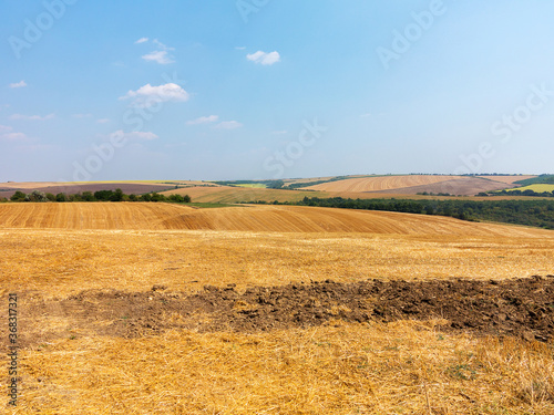 mown field on a bright autumn day. Collect grain harvest. Farming  idyll landscape background