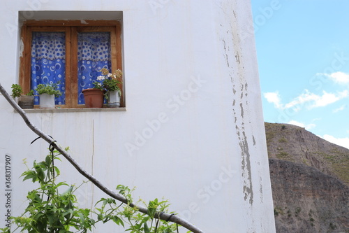 Flores en la ventana photo