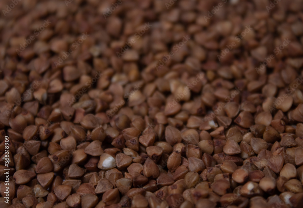 Fototapeta premium buckwheat background. suitable for design paper, background text, images, banners, billboards, pamphlets. High quality photo
