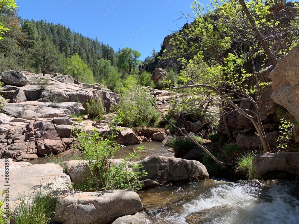 Fototapeta premium river in the mountains