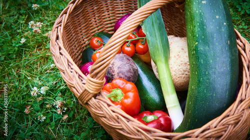 Wicker basket with fresh natural vegetables on a background of green lawn. Selective focus