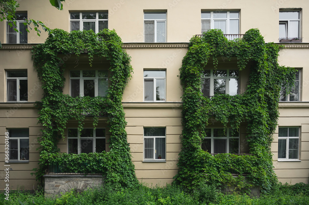the facade of Stalin's houses was overgrown with greenery