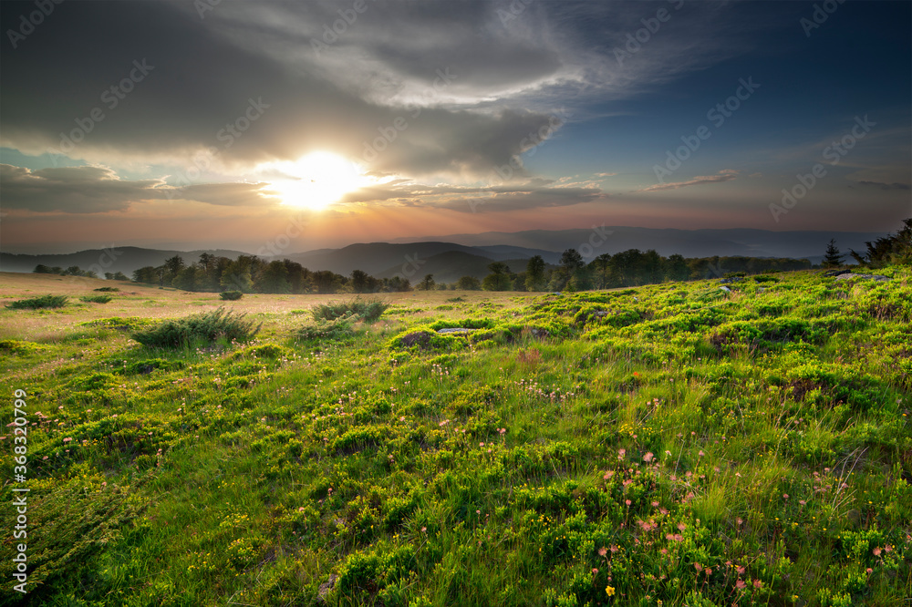 Obraz premium Sunset over green field