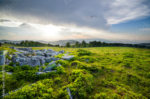 Sunset over green field