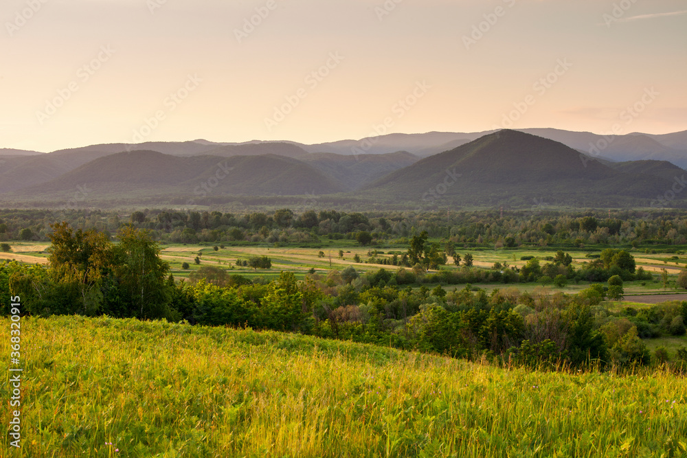 Fototapeta premium Sunset over green field