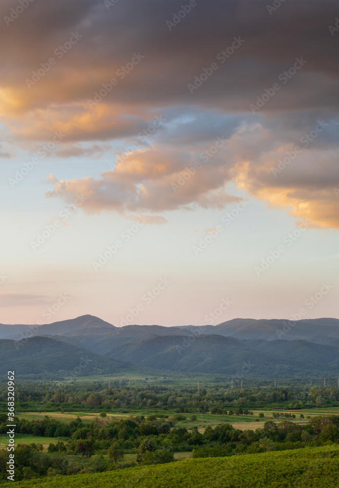 Sunset over green field