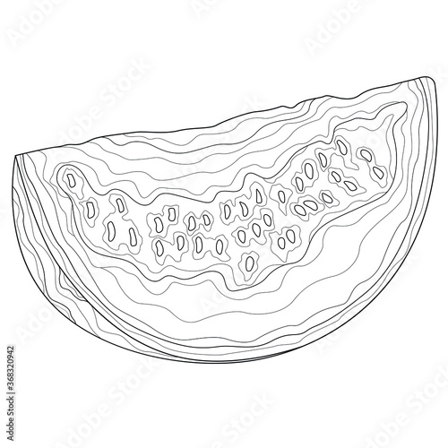 Watermelon.Coloring book antistress for children and adults. Zen-tangle style.
black and white sketch
