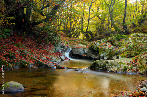 Fototapeta Naklejka Na Ścianę i Meble -  Mountain river in late Autumn