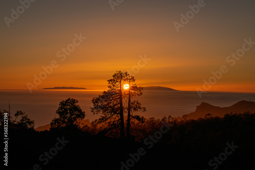 Puesta de sol con árboles y montañas