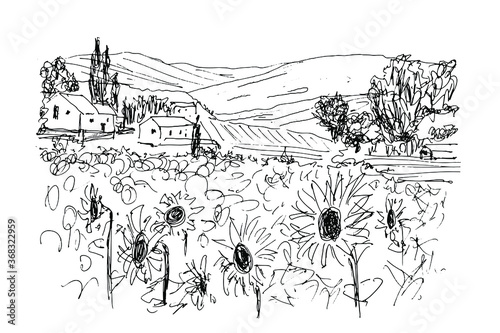 Black and white sketch by pen on a white background. Hilly landscape in Provence. Sunflower field, rural buildings among cypresses and olives. Isolated vector drawing.