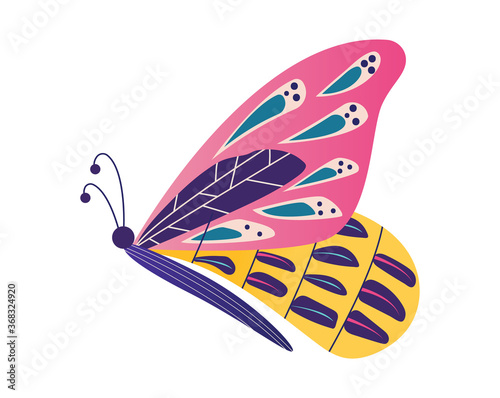Wild wildlife forest butterfly isolated on white, icon cartoon vector illustr...
