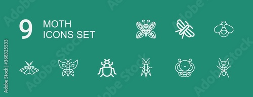 Editable 9 moth icons for web and mobile