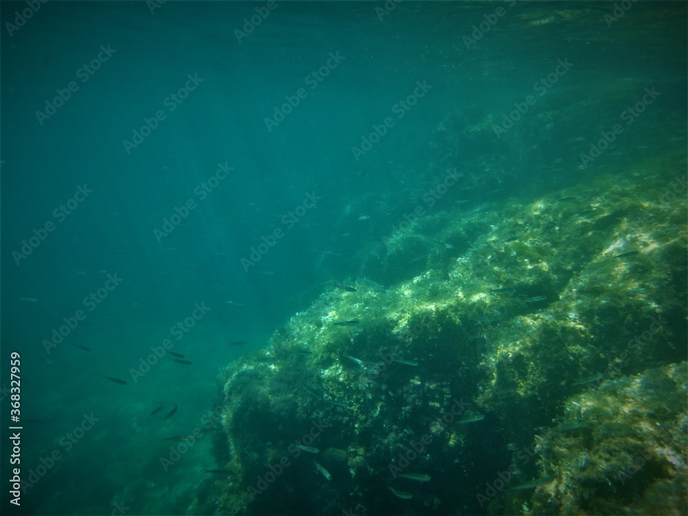 Obraz premium sunbeam