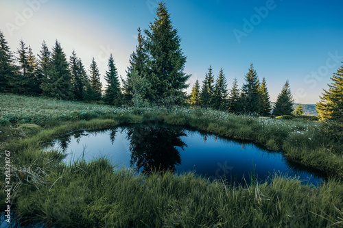 A body of water surrounded by a forest © Дмитро Григорчак