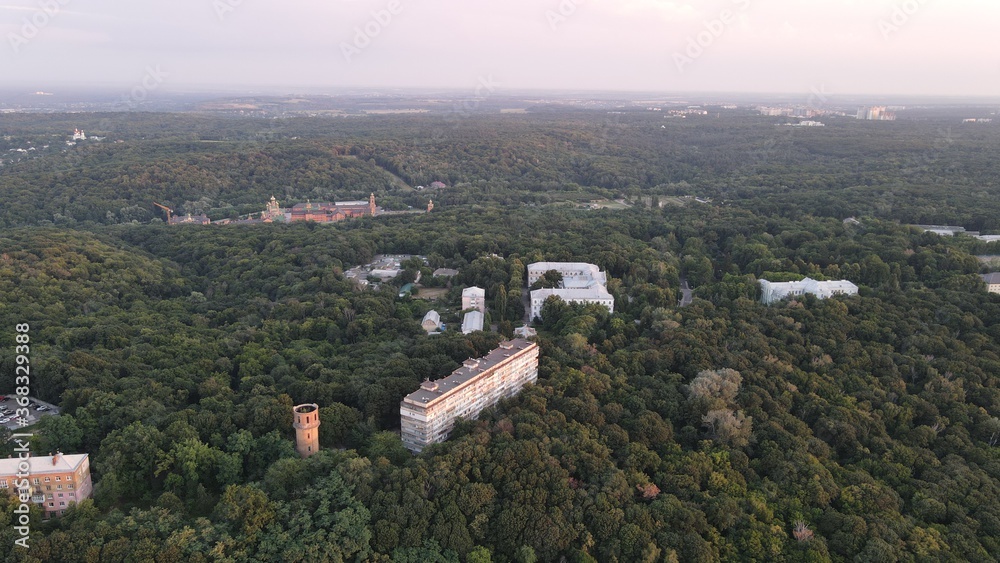 view on holosiyevo forest Kyiv