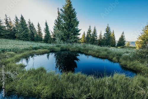 A body of water surrounded by trees