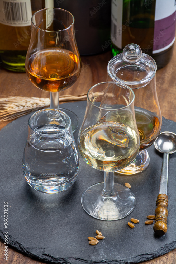 Obraz premium Scotch single malt and blended whisky tasting on distillery in Scotland