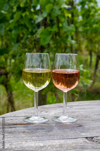 Tasting of Dutch rose and dry white wine on vineyard in summer