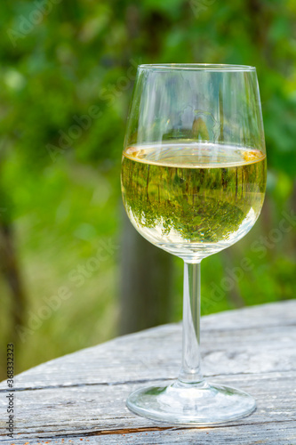 Tasting of Dutch dry white wine on vineyard in summer
