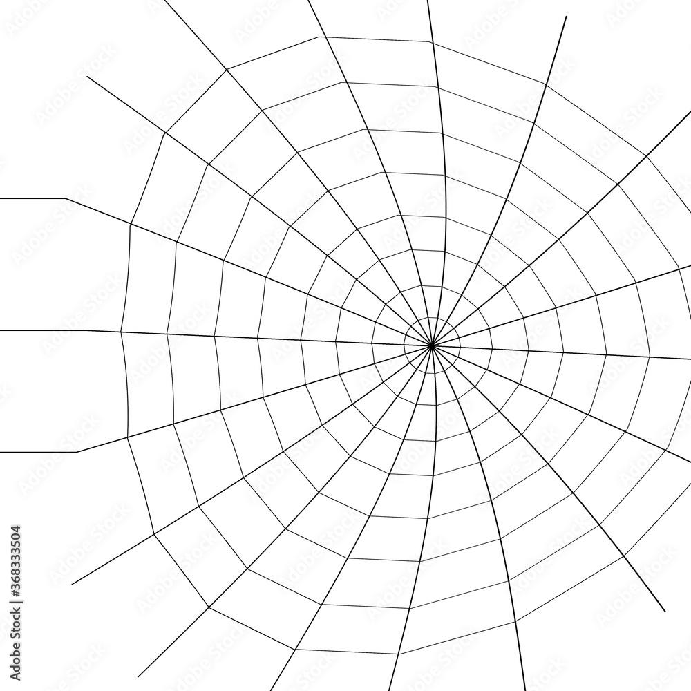 Naklejka premium Web. Internet spider web. The web is a hacker's paradise. Content for the designer.