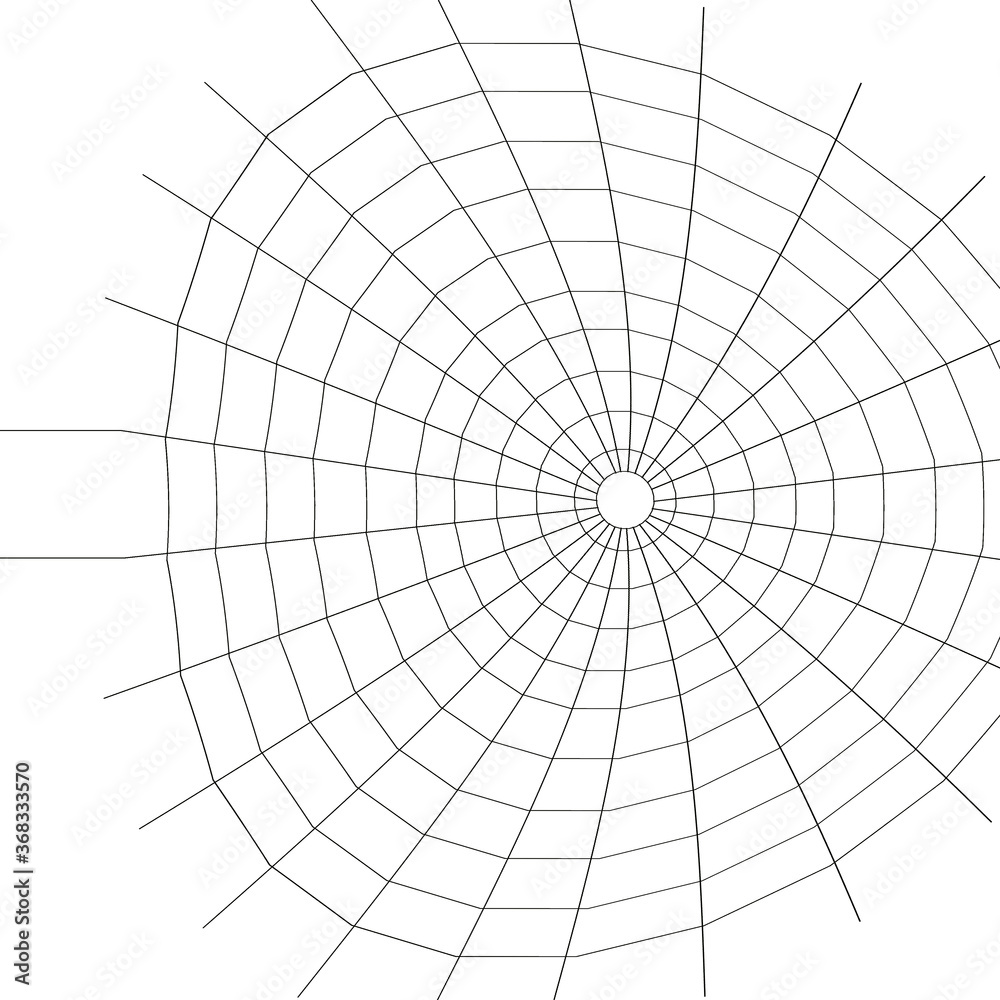 Naklejka premium Web. Internet spider web. The web is a hacker's paradise. Content for the designer.