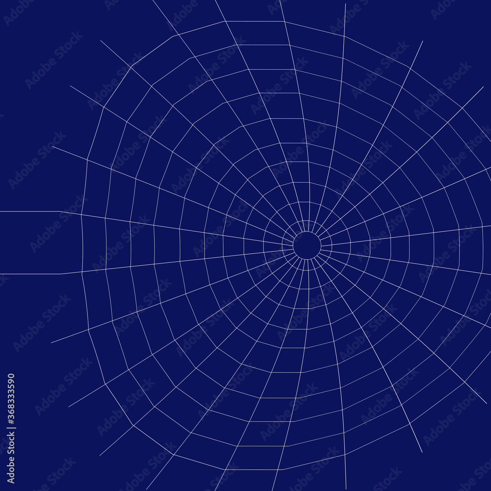 Naklejka premium Web. Internet spider web. The web is a hacker's paradise. Content for the designer.